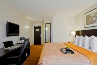Quality Hotel