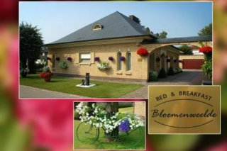 B&B Bloemenweelde