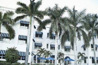 Blue Moon Hotel