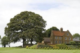 Manor