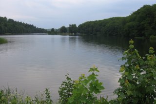 Kościół i jezioro przywidzkie