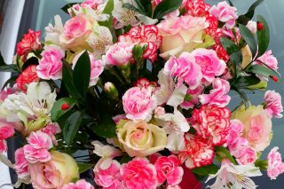Kwiaciarnia Rosa