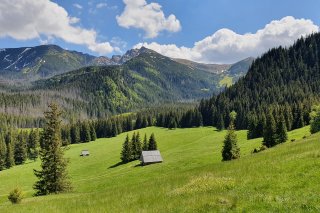 Polana Kalatówki