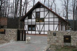 Apartament Antique