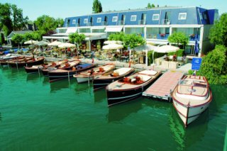 Golden Tulip
