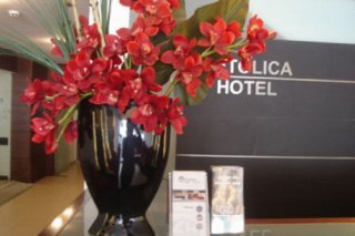 Catolica Hotel