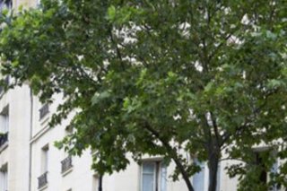 Hotel de France Invalides