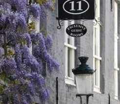 Exclusive Guesthouse Number 11