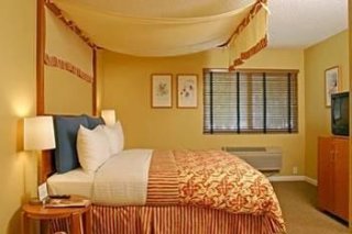 Wild Palms Hotel