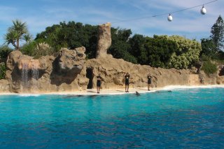 Loro Parque