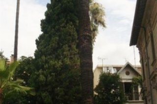Villa Aramis Guesthouse