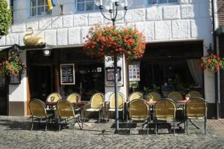 Goldener Schwan