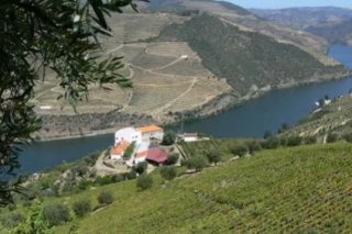Quinta de Santo António