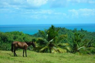 Rincon Eco Lodge