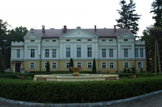 Pałac w Sasinie