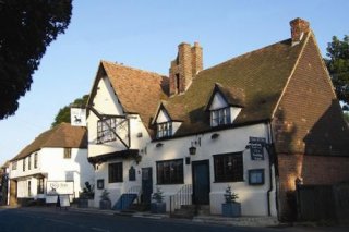 Dog Inn At