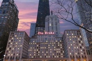 The Drake