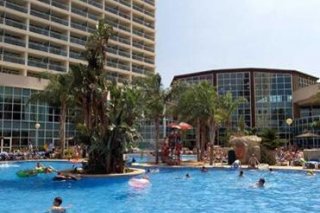 Flamingo Oasis