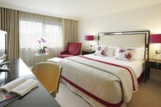The  Hotel