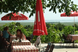 Gasthof-Pension Wein